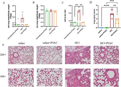 Polyvinylalcohol-carbazate mitigates acute lung injury caused by hydrochloric acid